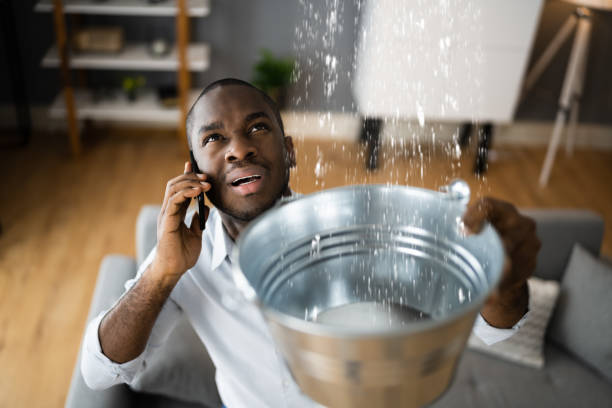 Best Water damage restoration near me  in Arcade, GA