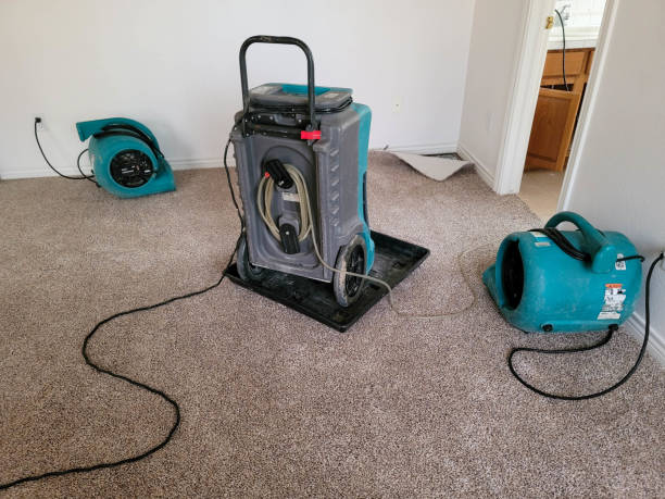 Best Residential water damage restoration  in Arcade, GA