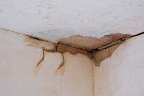 Best Local water damage restoration  in Arcade, GA