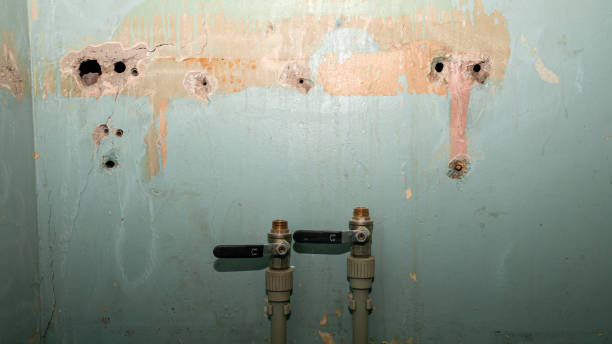 Best Mold removal after water damage  in Arcade, GA