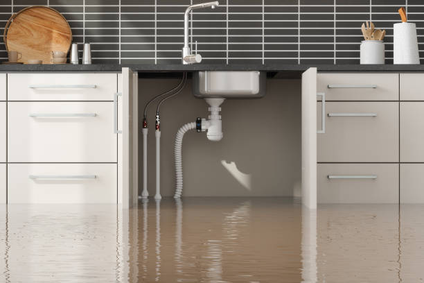 Best Flood restoration services  in Arcade, GA