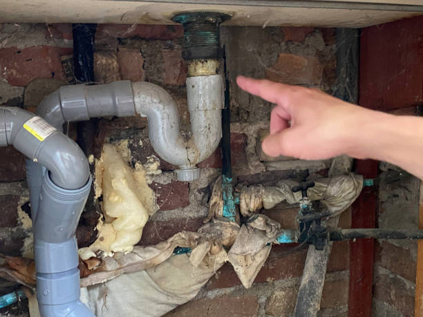 Best Mold removal after water damage  in Arcade, GA