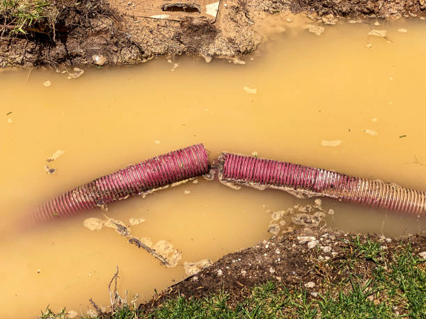 Best Emergency water damage restoration  in Arcade, GA