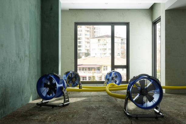 Best Professional water damage repair  in Arcade, GA